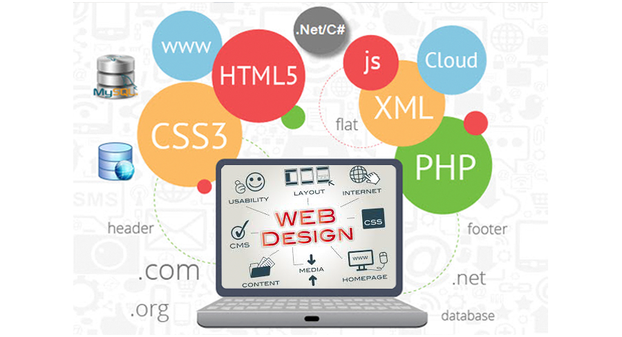 Web Design Development